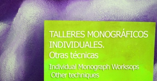 Individual Monograph Worksops ,Other techniques